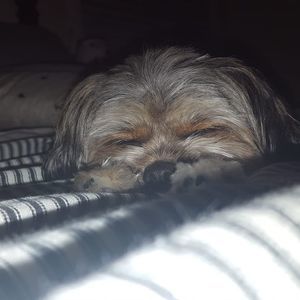 Meet your Posher, Julia